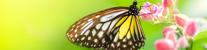 responsabilidad-social